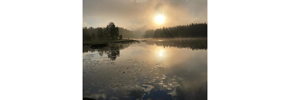 Ti på topp Ringerike